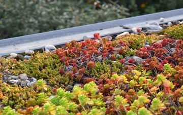 the cost of Ponde green roof installation